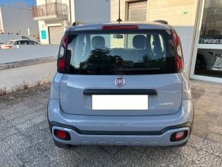 FIAT Panda usata 12