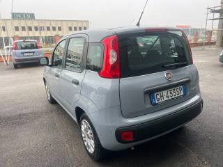 FIAT Panda usata 2