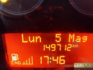 FIAT Punto usata, con Sedile posteriore sdoppiato