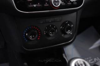 FIAT Punto usata 15
