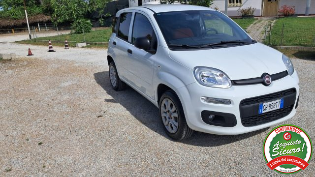FIAT Panda usata, con Controllo trazione