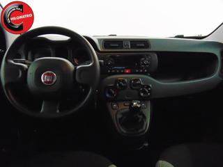 FIAT Panda usata, con Controllo trazione