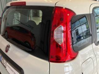 FIAT Panda usata 12