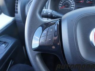 FIAT Fiorino usata 14