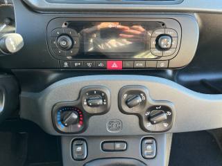 FIAT Panda usata 12