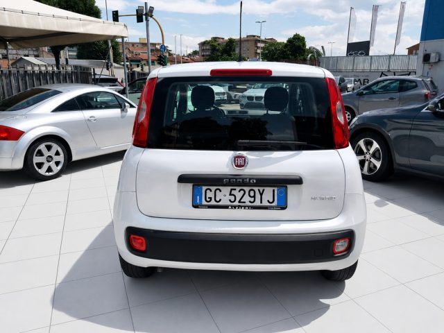 FIAT Panda usata, con Antifurto