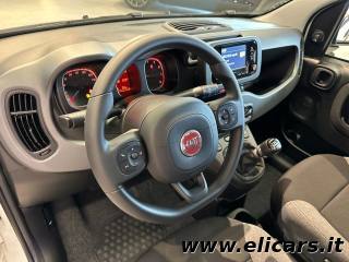 FIAT Panda usata, con Controllo trazione