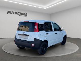 FIAT Panda usata, con Airbag Passeggero