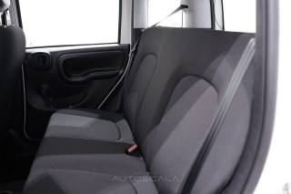 FIAT New Panda usata 21