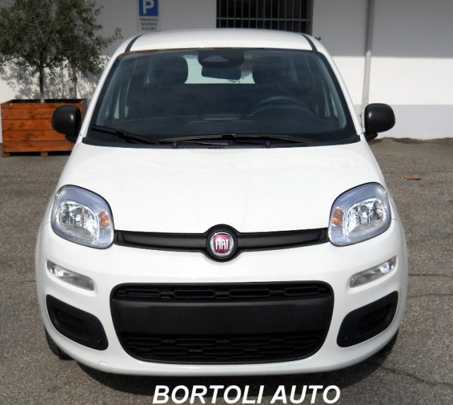 FIAT Panda usata 16