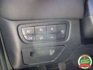 FIAT Punto usata, con Volante in pelle