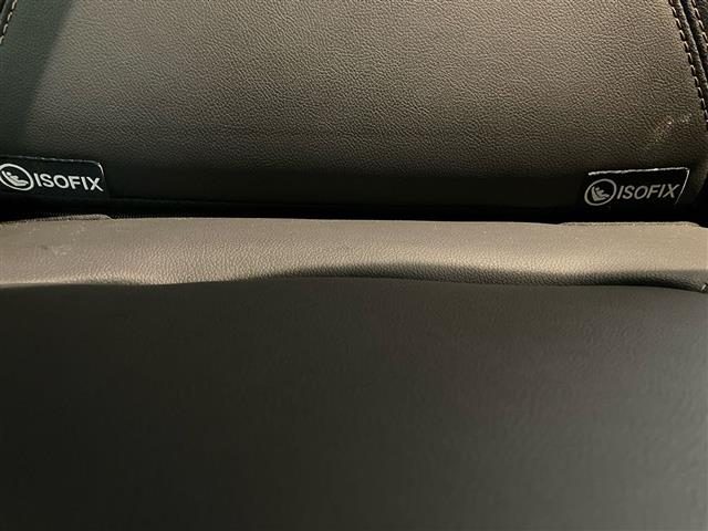 DACIA Spring usata 22