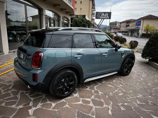 MINI Countryman usata, con Cronologia tagliandi