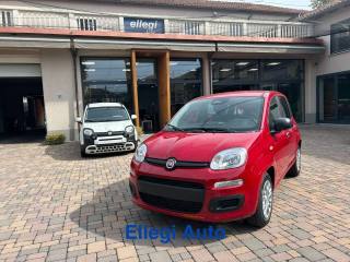 FIAT Pandina usata, con Airbag