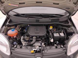 FIAT Panda usata 28