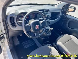 FIAT Panda usata, con Immobilizzatore elettronico