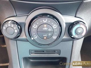 FORD Fiesta usata 14