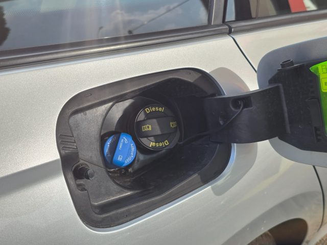 SKODA Octavia usata 116