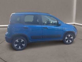 FIAT Panda Cross usata, con Antifurto
