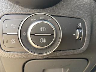 ALFA ROMEO Stelvio usata 33