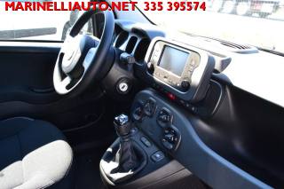 FIAT Panda usata 19