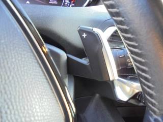 PEUGEOT 3008 usata 31