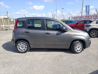 FIAT Panda usata, con Controllo trazione