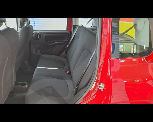 FIAT New Panda usata 18