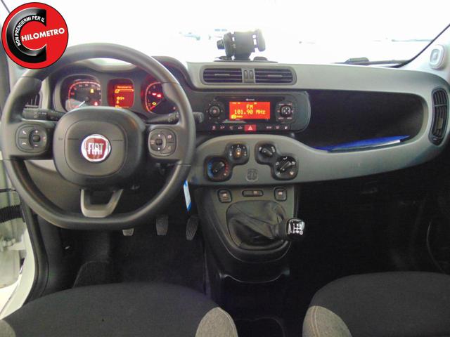 FIAT Panda usata, con Controllo trazione