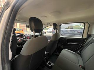 FIAT Panda usata 16