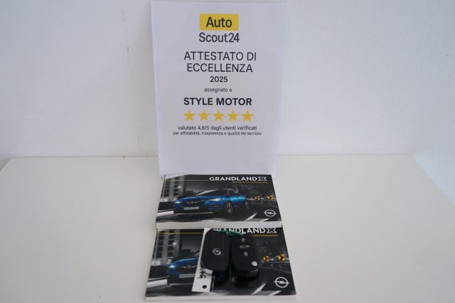 OPEL Grandland X usata, con Park Distance Control