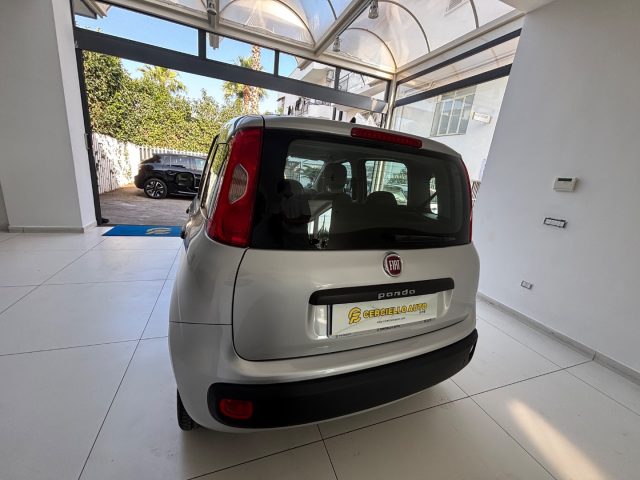 FIAT Panda usata, con Climatizzatore