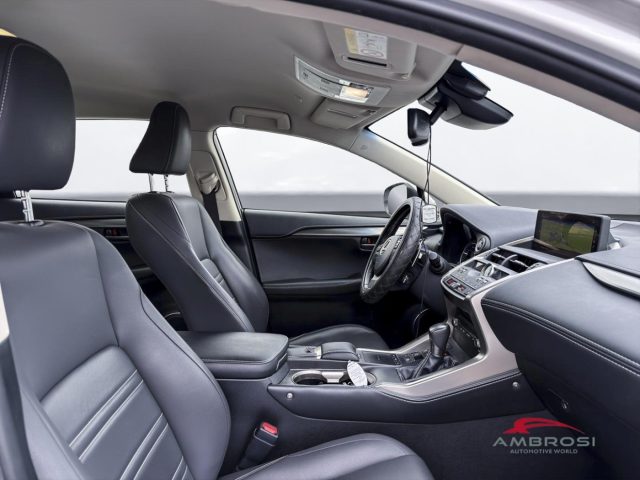 LEXUS NX 300h usata 11