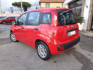 FIAT Panda usata, con Autoradio
