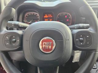 FIAT Panda usata, con Cronologia tagliandi