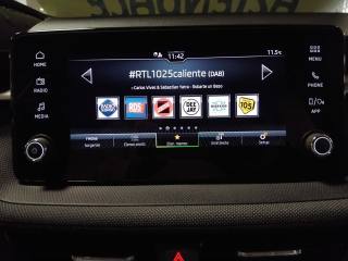 SKODA Fabia usata 20