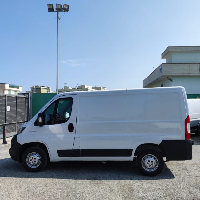 FIAT usata 5