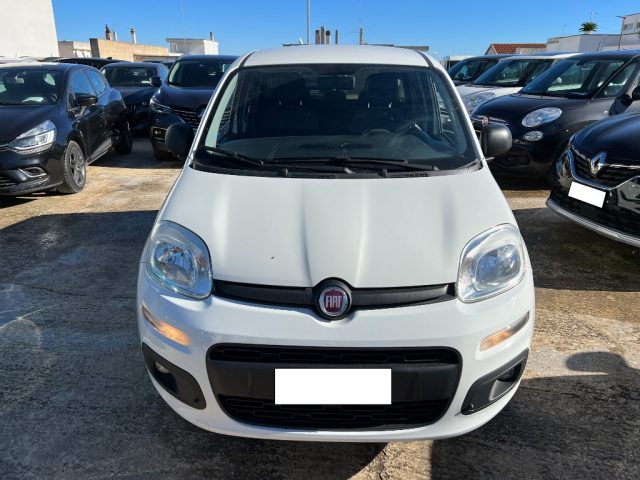 FIAT Panda usata 3