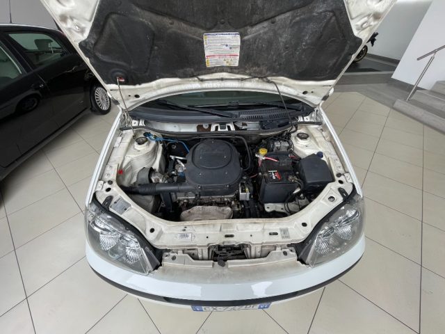 FIAT Punto usata 22