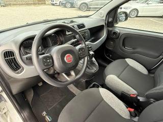 FIAT Panda usata, con Servosterzo