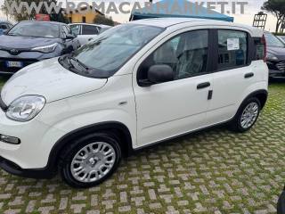 FIAT Panda usata, con Chiusura centralizzata