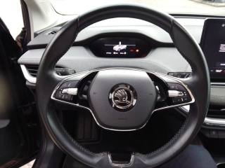 SKODA Enyaq iV usata, con Cronologia tagliandi