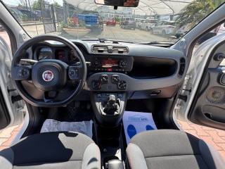 FIAT New Panda usata, con Cronologia tagliandi