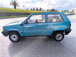 FIAT Panda usata 8
