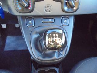 FIAT Panda usata 25