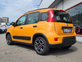 FIAT Panda usata, con Antifurto