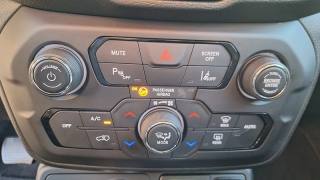 JEEP Renegade usata, con Frenata d