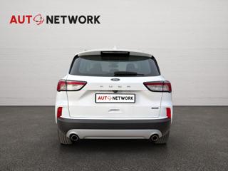 FORD Kuga usata, con Chiusura centralizzata