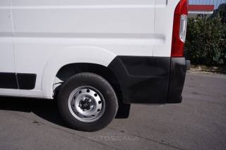 FIAT Ducato usata 16