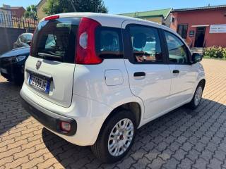 FIAT Panda usata, con Airbag Passeggero
